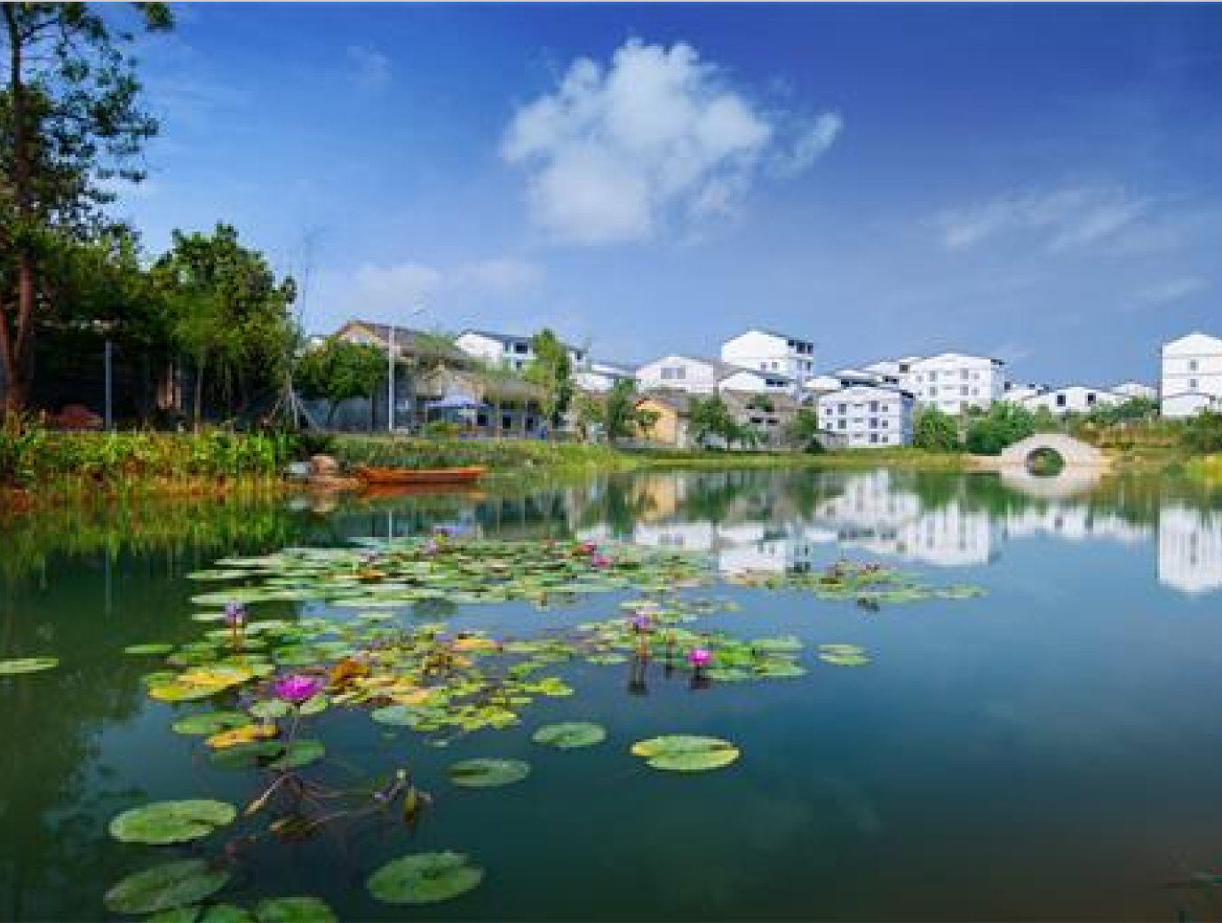 ��˾����